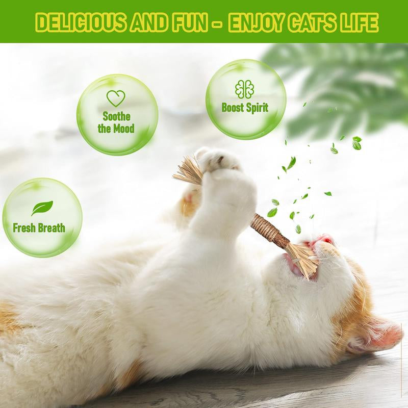 Natural Silvervine Cat Chew Toy - Matatabi Teeth Cleaning, Edible Kitty Treat, Interactive Catnip Toy for Hairball Control & Mood Boost