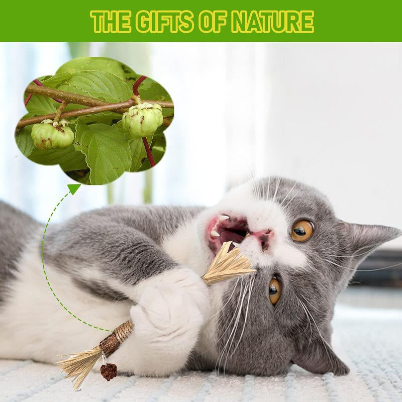 Natural Silvervine Cat Chew Toy - Matatabi Teeth Cleaning, Edible Kitty Treat, Interactive Catnip Toy for Hairball Control & Mood Boost
