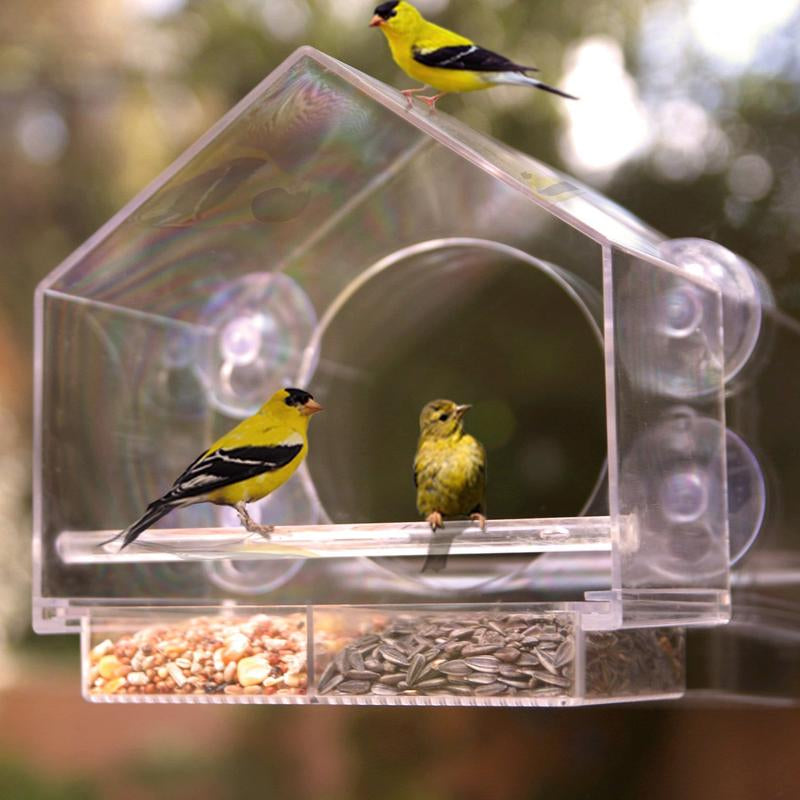 Birds-I-View Window Bird Feeder