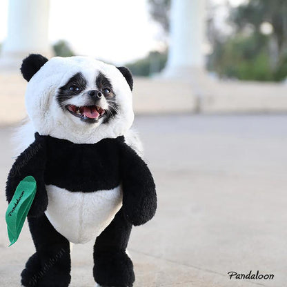 Pandaloon Panda Puppy Costume - as Seen on Shark Tank