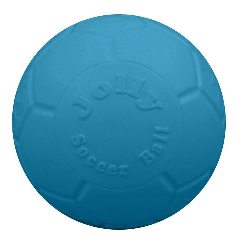 Large Soccer Ball Floating-Bouncing Dog 8 Inch Diameter Blue