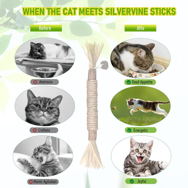 Natural Silvervine Cat Chew Toy - Matatabi Teeth Cleaning, Edible Kitty Treat, Interactive Catnip Toy for Hairball Control & Mood Boost
