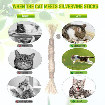Natural Silvervine Cat Chew Toy - Matatabi Teeth Cleaning, Edible Kitty Treat, Interactive Catnip Toy for Hairball Control & Mood Boost