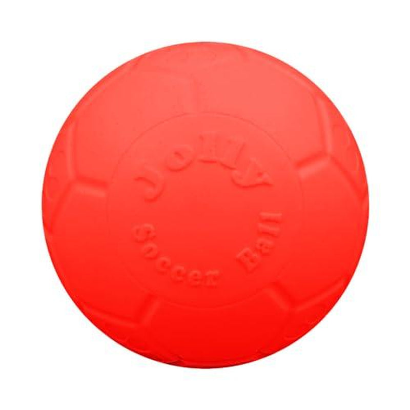 Large Soccer Ball Floating-Bouncing Dog 8 Inch Diameter Blue